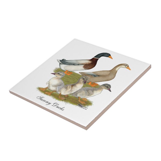 Saxony Duck Family Ceramic Tile (Side)