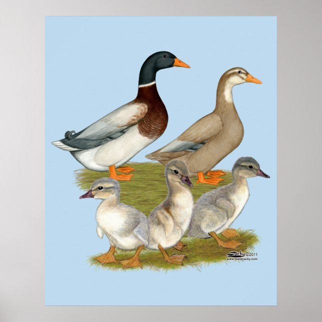 Saxony Duck Family Poster (Front)