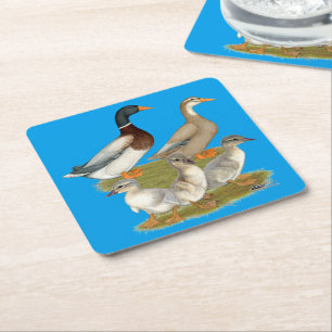 Saxony Duck Family Square Paper Coaster