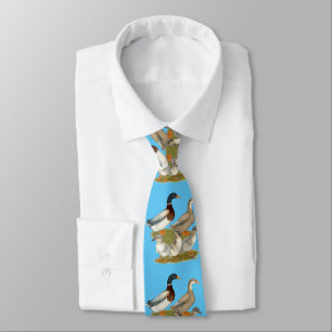 Saxony Duck Family Tie