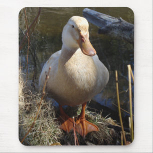 Saxony Duck Mousepad