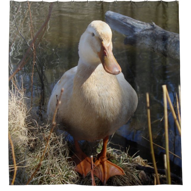 Saxony Duck Shower Curtain (Front)