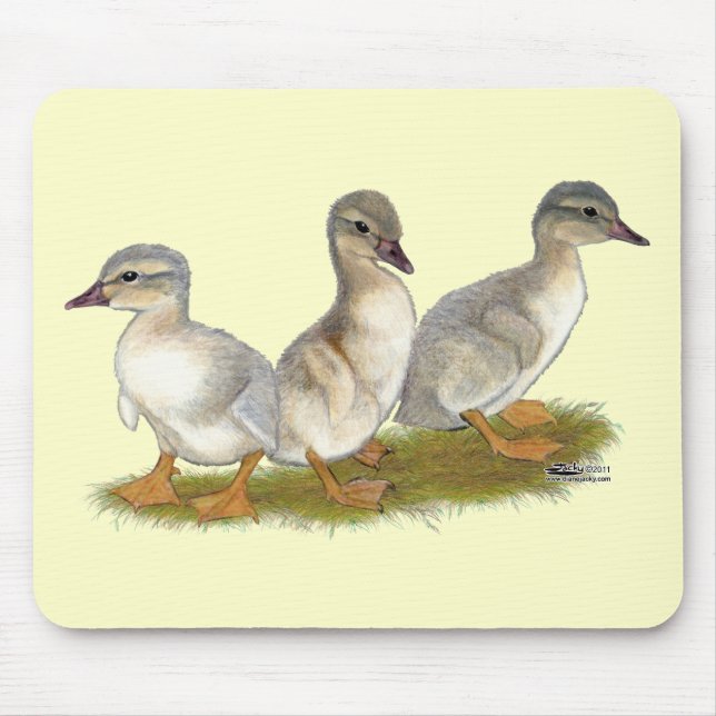 Saxony Ducklings Mouse Pad (Front)