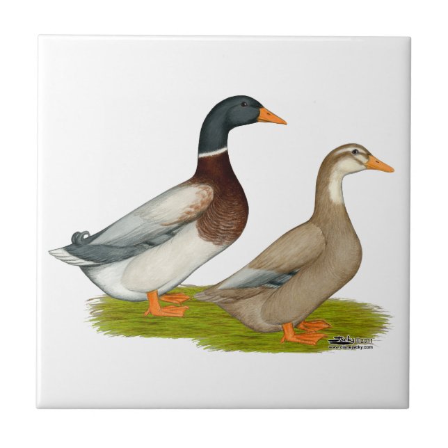 Saxony Ducks Ceramic Tile (Front)