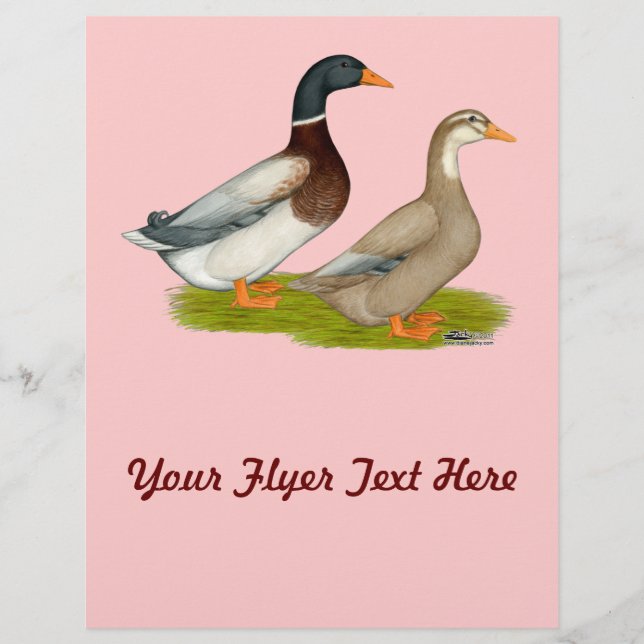 Saxony Ducks Flyer (Front)