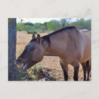 Say aaah postcard