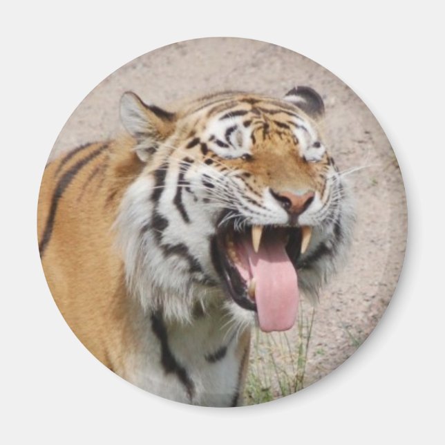 Say AHHHH Magnet (Front)