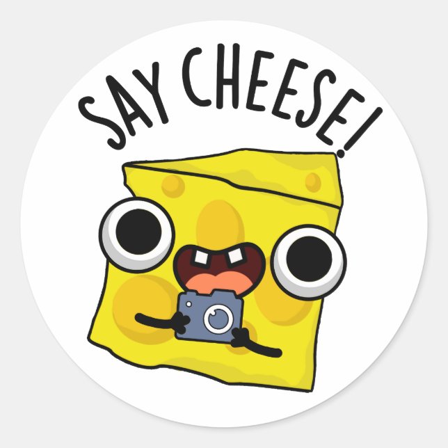 Say Cheese Funny Photographer Pun  Classic Round Sticker (Front)