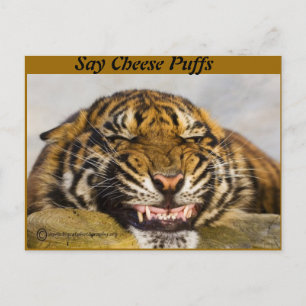 Say Cheese Puffs Postcard