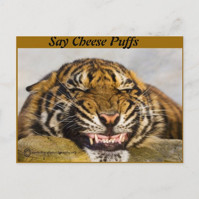 Say Cheese Puffs Postcard (Front)