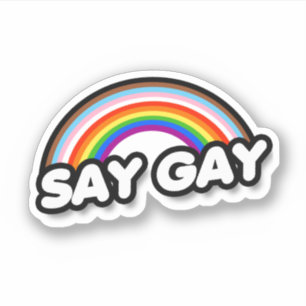 Say Gay - Inclusive Rainbow