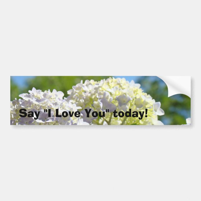 Say I Love You today! bumper stickers Hydrangeas (Front)