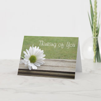 Say it in Daisies Card