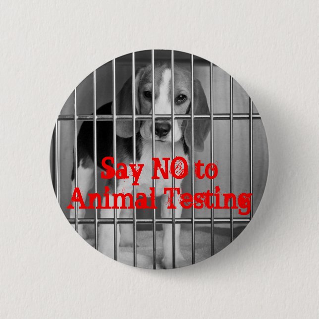 "Say No to Animal Testing" Beagle button pin (Front)