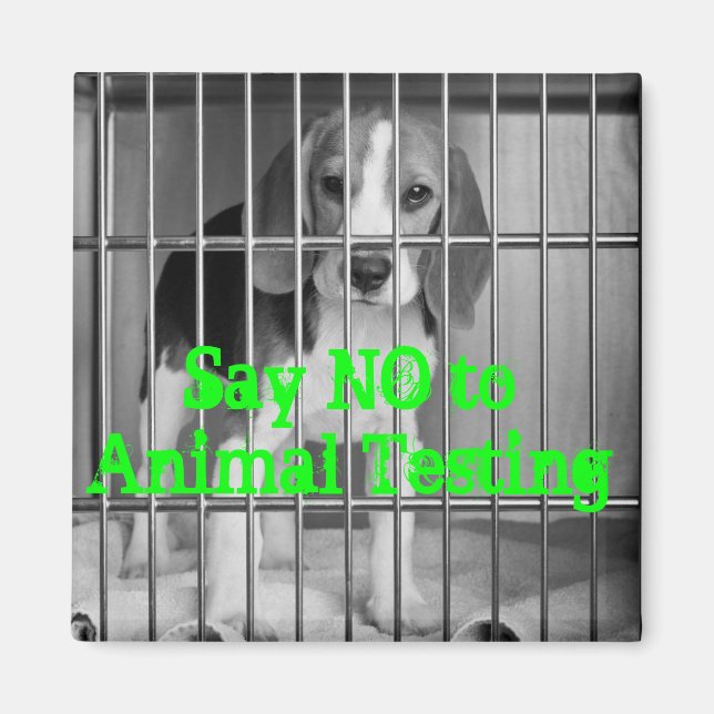 "Say No to Animal Testing" Beagle magnet (Front)