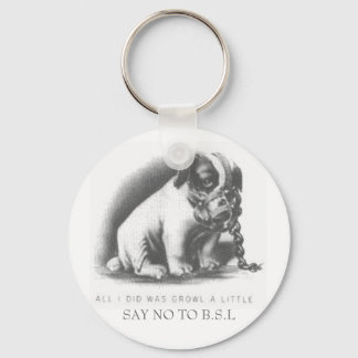 SAY NO TO B.S.L KEY RING