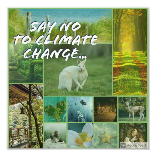 Say no to climate change  photo print (Front)