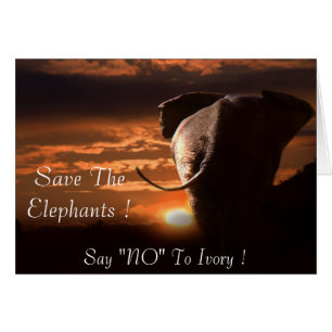 Say "NO" To Ivory