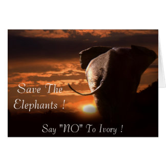 Say "NO" To Ivory
