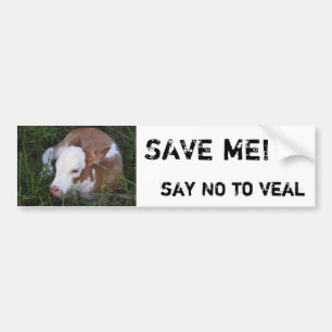 Say NO to Veal bumper sticker