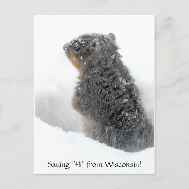 Saying Hi from Wisconsin Snowy Squirrel Postcard (Front)