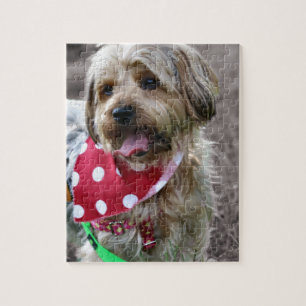 SC Yorkie Jigsaw Puzzle