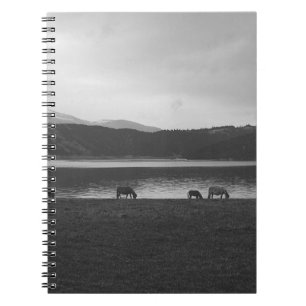 SCALE GREY PHOTOGRAPHY OF ANIMALS NOTEBOOK