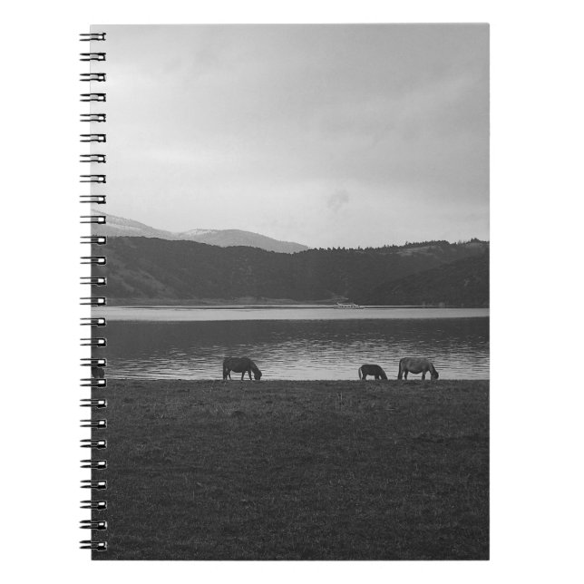 SCALE GREY PHOTOGRAPHY OF ANIMALS NOTEBOOK (Front)