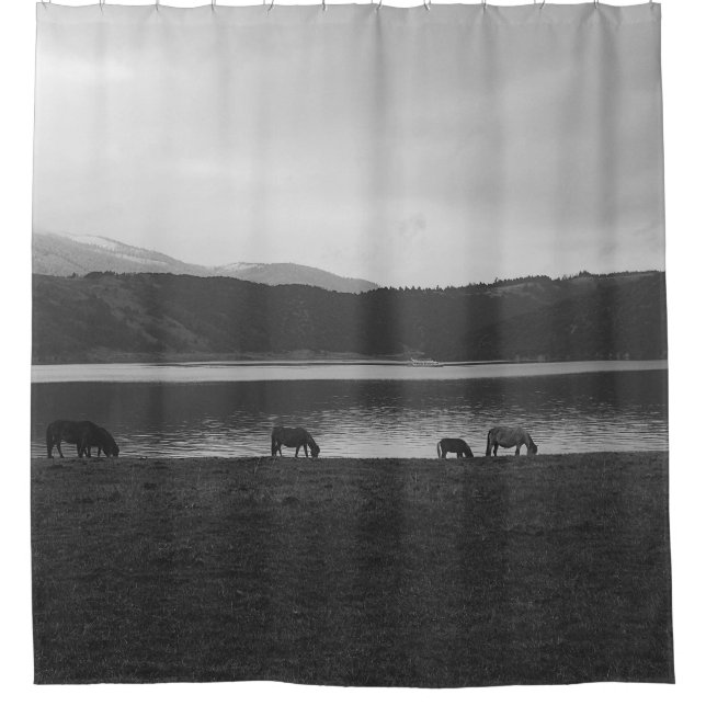 SCALE GREY PHOTOGRAPHY OF ANIMALS SHOWER CURTAIN (Front)