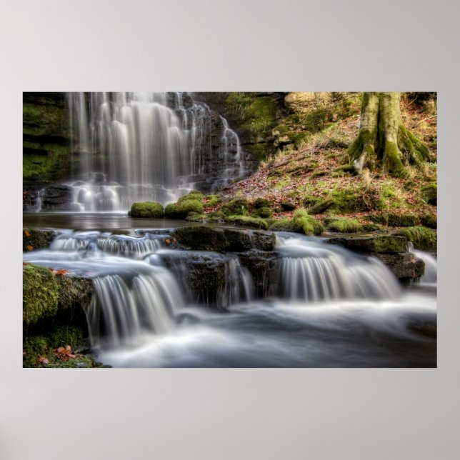 Scaleber Force Falls Poster (Front)