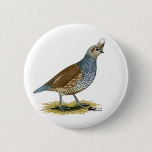 Scaled Quail 6 Cm Round Badge