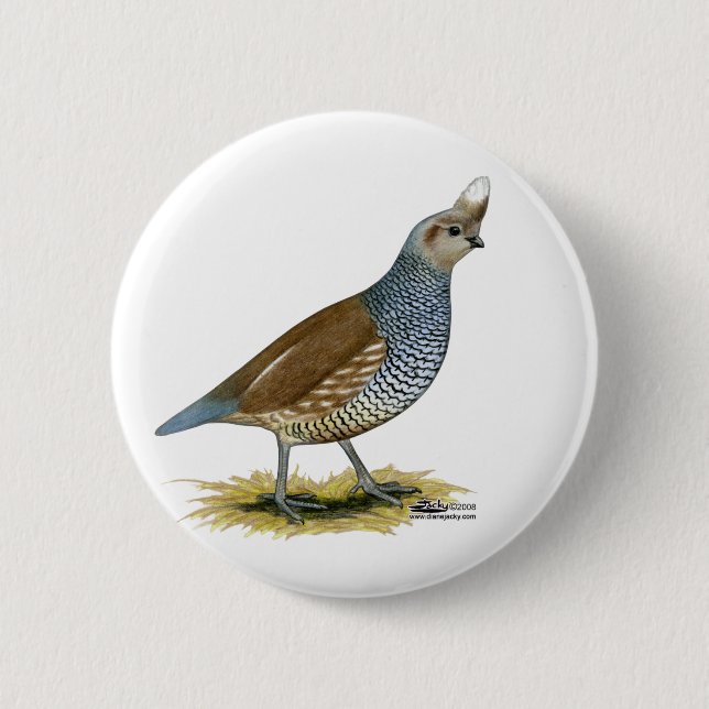 Scaled Quail 6 Cm Round Badge (Front)