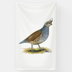 Scaled Quail Banner