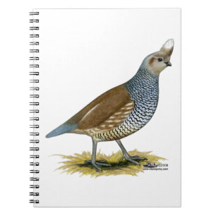 Scaled Quail Notebook