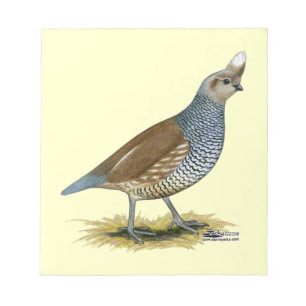 Scaled Quail Notepad