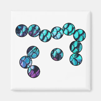 Scales microbe magnet