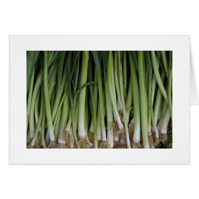 Scallions Card (Front Horizontal)