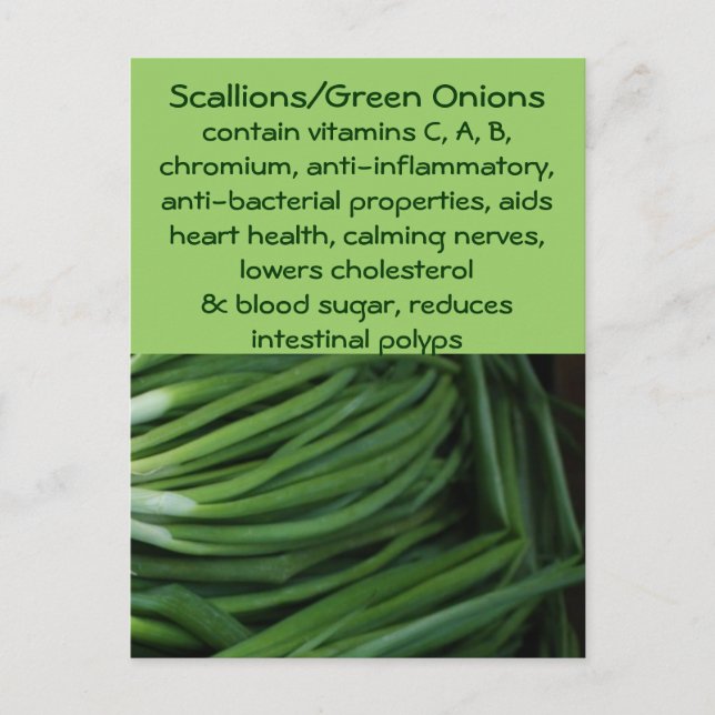 Scallions/Green Onions postcard (Front)