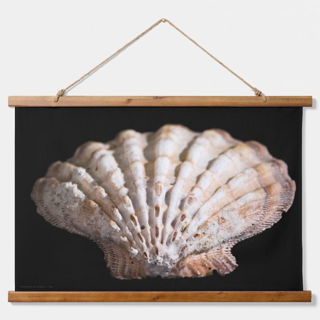 Scallop 3236 hanging tapestry (Front)
