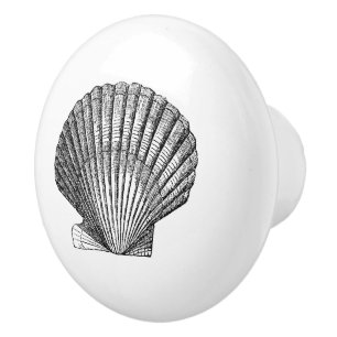 Scallop seashell shell nautical sea inspired decor ceramic knob