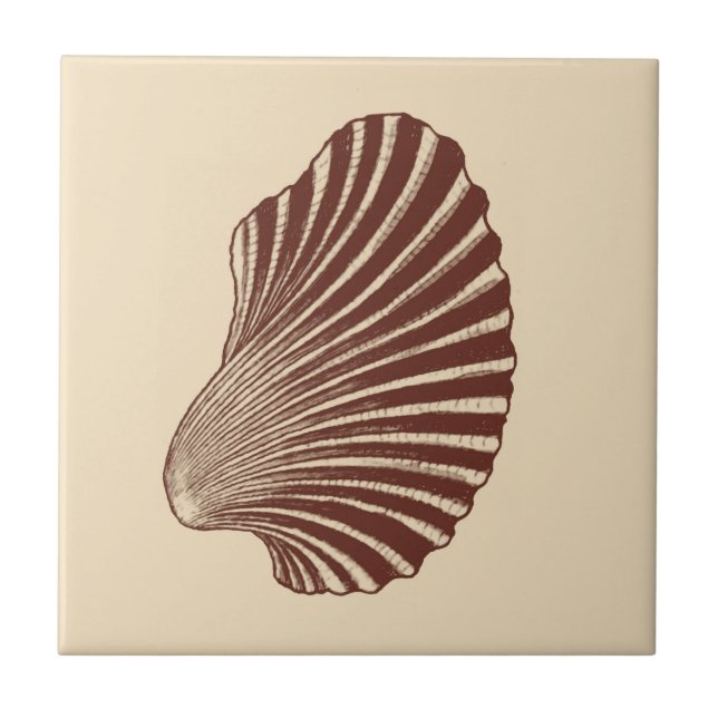 Scallop Shell Block Print, Brown and Beige   Ceram Ceramic Tile (Front)