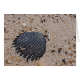Scallop Shell Card