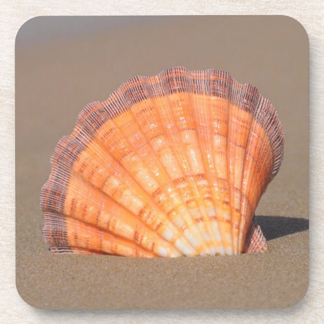 Scallop Shell| Crete, Greece Coaster (Front)