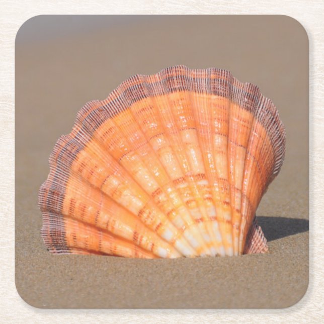 Scallop Shell| Crete, Greece Square Paper Coaster (Front)