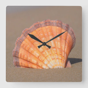 Scallop Shell  Crete, Greece Square Wall Clock