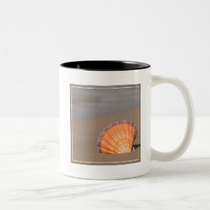 Scallop Shell  Crete, Greece Two-Tone Coffee Mug
