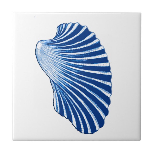 Scallop Shell, Indigo Blue and White Ceramic Tile (Front)