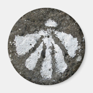 Scallop Shell Magnet