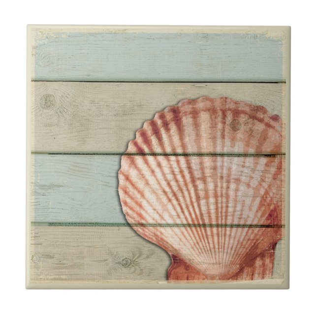 Scallop Shell Tile (Front)