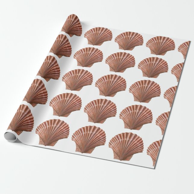 Scallop Shells Wrapping Paper (Unrolled)